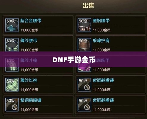 DNF手游金币囤积策略详解-图1