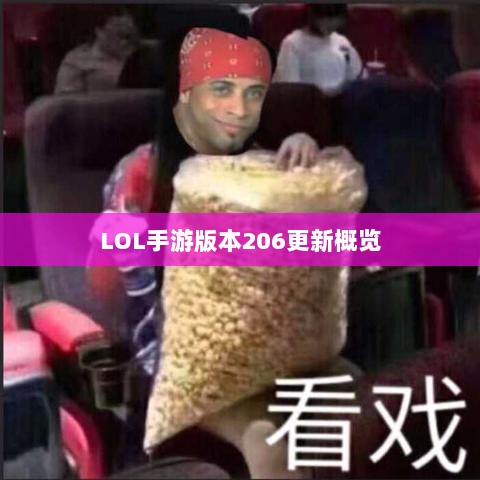 LOL手游更新解析,版本206更新时间及其内容概览-图1 LOL手游更新解析,版本206更新时间及其内容概览-图1