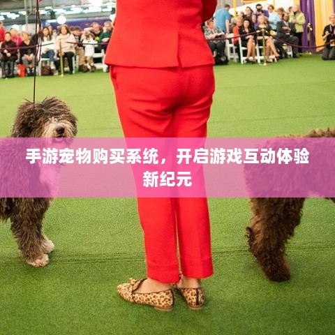 手游宠物购买系统,开启游戏互动体验新纪元-图1 手游宠物购买系统,开启游戏互动体验新纪元-图1