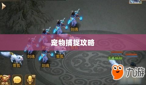 问道手游宠物捕捉攻略全解析-图1 问道手游宠物捕捉攻略全解析-图1