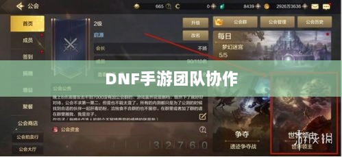 DNF手游团队协作与社交机制深度解析，混团容易度探讨-图1