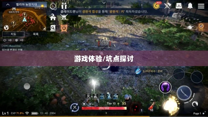 黑色沙漠手游深度解析，游戏体验、坑点探讨-图1