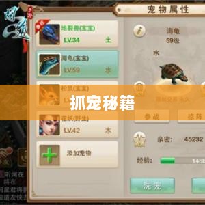 问道手游,宠物捕捉攻略,轻松掌握抓宠秘籍-图1 问道手游,宠物捕捉攻略,轻松掌握抓宠秘籍-图1