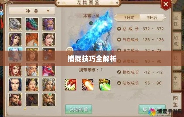 问道手游宠物捕捉攻略，轻松掌握捕捉技巧全解析-图1