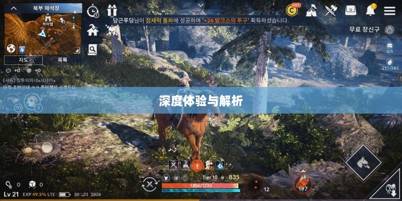 黑色沙漠手游，深度体验与全面解析-图1