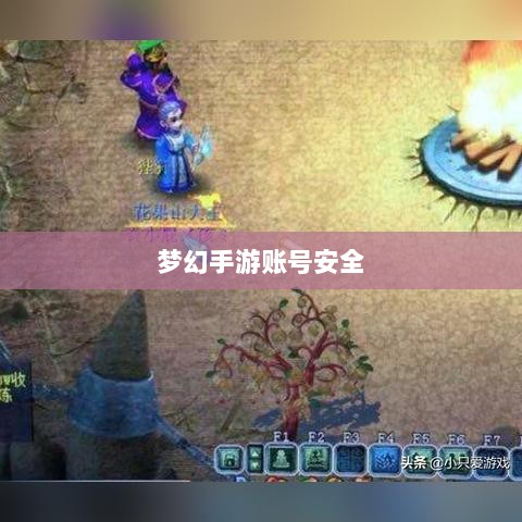 梦幻手游账号安全攻略，防范被盗风险-图1