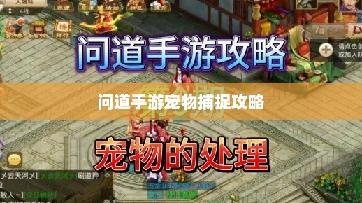 问道手游宠物捕捉攻略，轻松掌握捕捉技巧全解析-图1