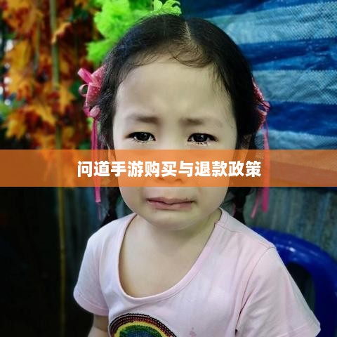 官方问道手游的购买与退款政策解读，能否退款？-图1