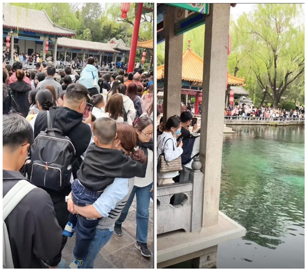 清明假期趵突泉游人如织,网友戏称亿人共赏天下第一泉-图2 清明假期趵突泉游人如织,网友戏称亿人共赏天下第一泉-图2