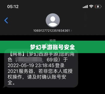 梦幻手游账号安全指南，如何预防账号被盗风险-图1