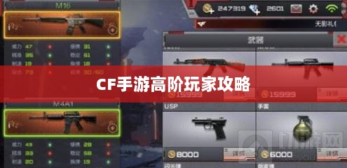 CF手游高阶玩家深度解析攻略-图1 CF手游高阶玩家深度解析攻略-图1