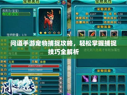问道手游宠物捕捉攻略,轻松掌握捕捉技巧全解析-图1 问道手游宠物捕捉攻略,轻松掌握捕捉技巧全解析-图1