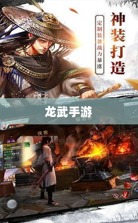 深度解析，龙武手游的成功存活之道-图1
