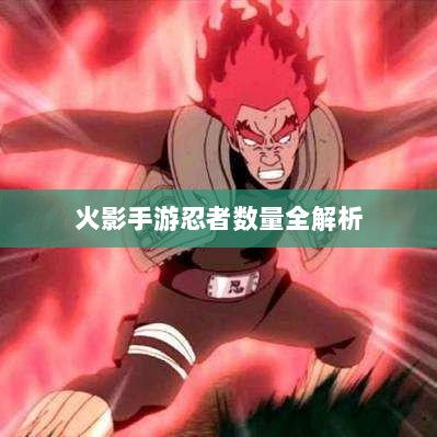 火影手游忍者数量全解析-图1