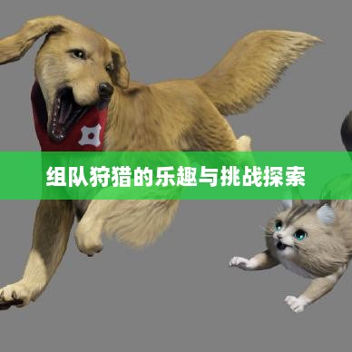 狩猎原野手游，组队狩猎的乐趣与挑战探索-图1