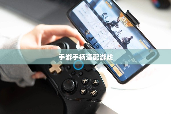 手游手柄适配游戏及更佳体验盘点-图1