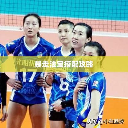 问道手游暴走法宝搭配攻略大全-图1 问道手游暴走法宝搭配攻略大全-图1