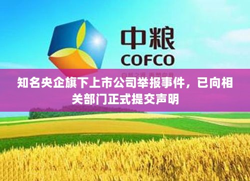 知名央企旗下上市公司举报事件,已向相关部门正式提交声明-图1 知名央企旗下上市公司举报事件,已向相关部门正式提交声明-图1