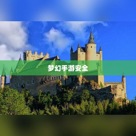 梦幻手游安全与防范，防止账号被盗的游戏攻略-图1