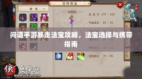 问道手游暴走法宝攻略，法宝选择与携带指南-图1
