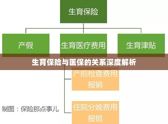 生育保险与医保关系的深度探讨-图1
