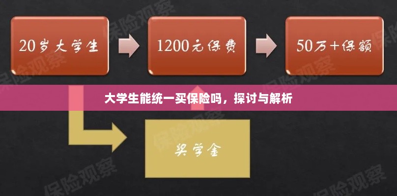 大学生统一保险购买，探讨与解析-图1
