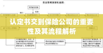 认定书交到保险公司的流程解析与重要性探讨-图1 认定书交到保险公司的流程解析与重要性探讨-图1