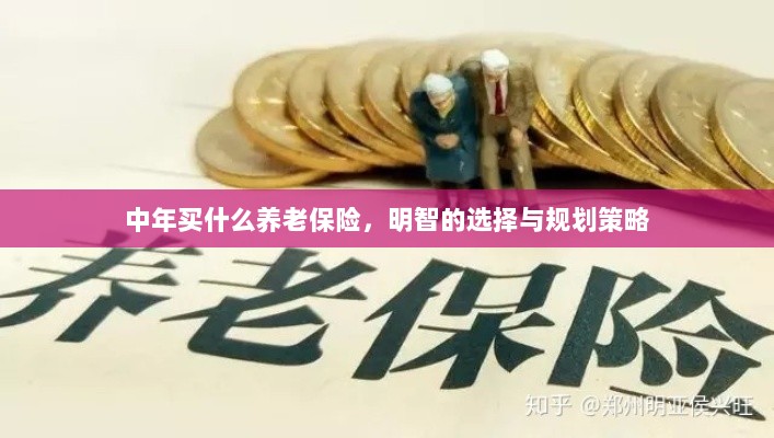 中年明智之选,养老保险的规划与策略-图1 中年明智之选,养老保险的规划与策略-图1