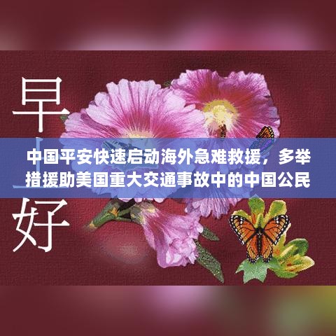 中国平安迅速响应海外救援，全力支援美国重大交通事故中的中国公民-图1