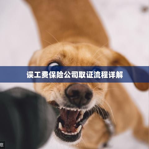 保险公司误工费取证流程详解-图1 保险公司误工费取证流程详解-图1