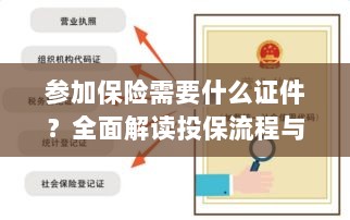 投保全攻略，保险所需证件及流程详解-图1