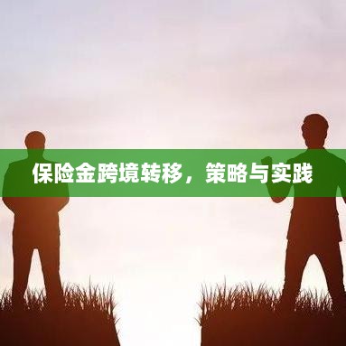 保险金跨境转移的策略与实践探讨-图1