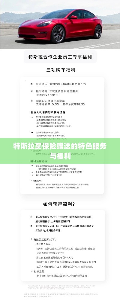 特斯拉保险特惠，独家特色服务与丰厚赠品等你来享-图1