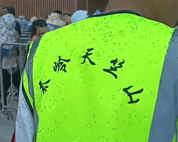 陕西景区惊现大量虫子侵袭游客脖子,天气原因引发关注已处理-图2 陕西景区惊现大量虫子侵袭游客脖子,天气原因引发关注已处理-图2