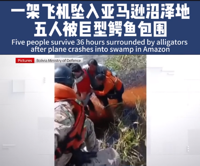 飞机故障迫降鳄鱼巢穴，整夜惊魂获救，鳄鱼与蛇的凝视-图1