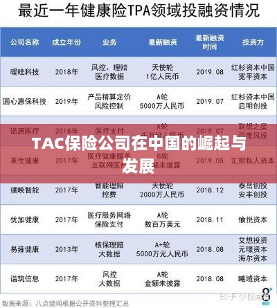 TAC保险公司在中国的崛起与蓬勃发展之路-图1