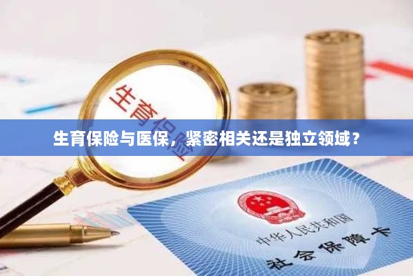 生育保险与医保,紧密关联还是独立领域探讨?-图1 生育保险与医保,紧密关联还是独立领域探讨?-图1