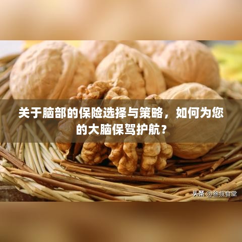 如何选择合适的脑部保险，为您的大脑保驾护航？-图1
