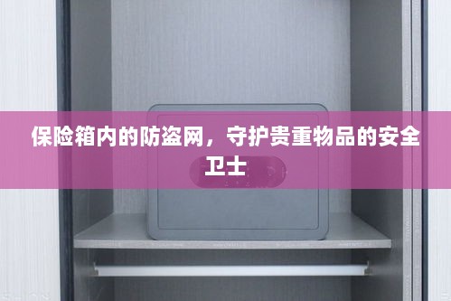 保险箱内防盗网，守护贵重物品的安全屏障-图1