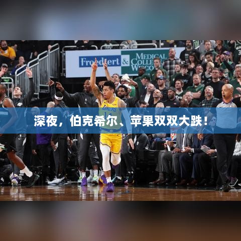 伯克希尔与苹果深夜股价暴跌!-图1 伯克希尔与苹果深夜股价暴跌!-图1