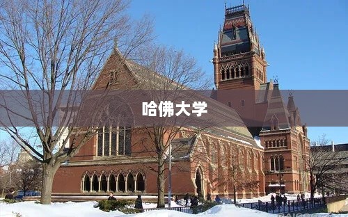 白宫切断哈佛联邦资助,种族歧视争议与欧盟人才争夺战爆发-图1 白宫切断哈佛联邦资助,种族歧视争议与欧盟人才争夺战爆发-图1