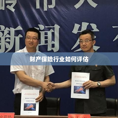 财产保险行业评估方法与策略解析-图1
