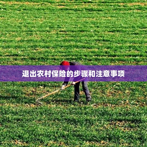 退出农村保险的步骤及注意事项详解-图1 退出农村保险的步骤及注意事项详解-图1