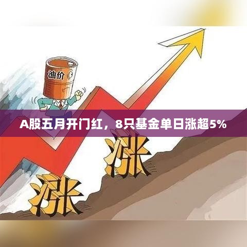 A股五月开门红,多只基金单日涨幅超5%-图1 A股五月开门红,多只基金单日涨幅超5%-图1