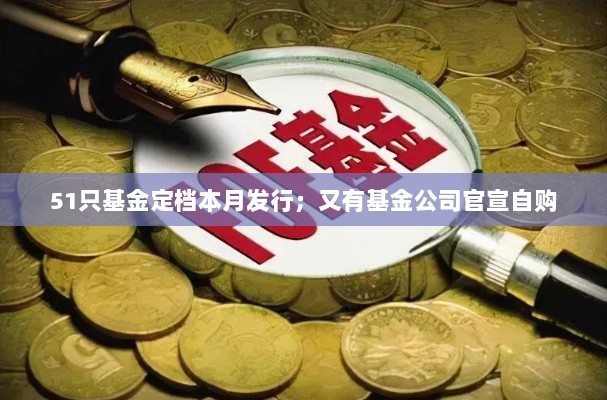 本月51只基金定档发行,基金公司官宣自购策略启动-图1 本月51只基金定档发行,基金公司官宣自购策略启动-图1