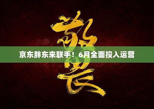 京东与胖东来联手，六月全新运营启动-图1