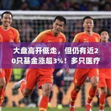 基金市场走势分析,近20只基金涨幅超3%,医疗主题产品领跌大盘高开低走趋势-图1 基金市场走势分析,近20只基金涨幅超3%,医疗主题产品领跌大盘高开低走趋势-图1