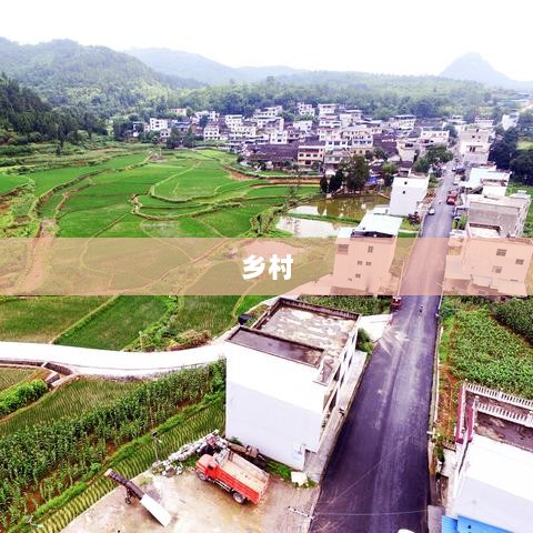 上海80后青年重塑成都乡村的奋斗故事-图1 上海80后青年重塑成都乡村的奋斗故事-图1