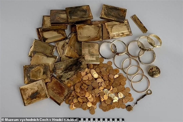 捷克发现黄金宝藏,价值超百万!发现者获高额奖金-图1 捷克发现黄金宝藏,价值超百万!发现者获高额奖金-图1