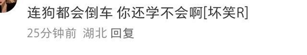 驾校狗教练指导科目二练习,学员看点全靠它指引方向-图1 驾校狗教练指导科目二练习,学员看点全靠它指引方向-图1